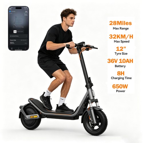 650w electric scooter for - electric,