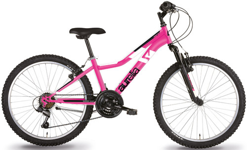Bici mountain bike - mountain,