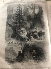 splendida stampa illustrazione