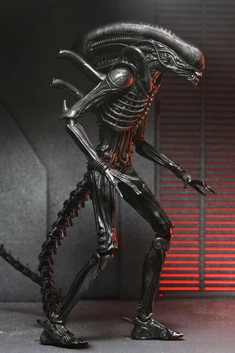 Alien aliens xenomorph - alien, neca