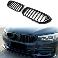 Gloss Black Front Kidney