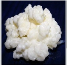 33GR. KEFIR GIGANTI DI LATTE