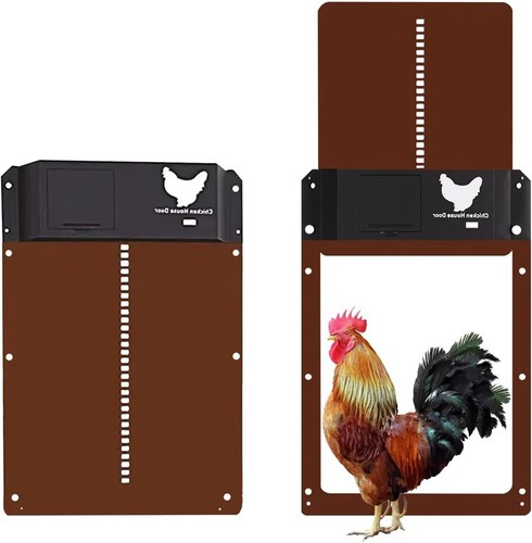 Porta automatica per pollaio - automatica,