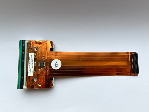 Enm10104642 testina di - -,
