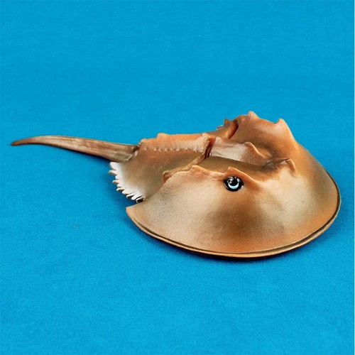 Giocattolo modello simulazione