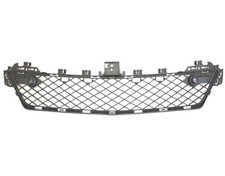 GRIGLIA PARAURTI ANTERIORE