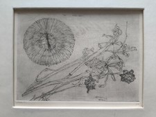 Capolavoro di Renzo Biasion "Riccio e Fiori" - pubblicata - catalogo Prandi