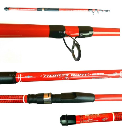 Canna bolentino costiero - canna,