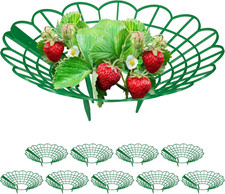 Set Da 10 Anelli Di Supporto