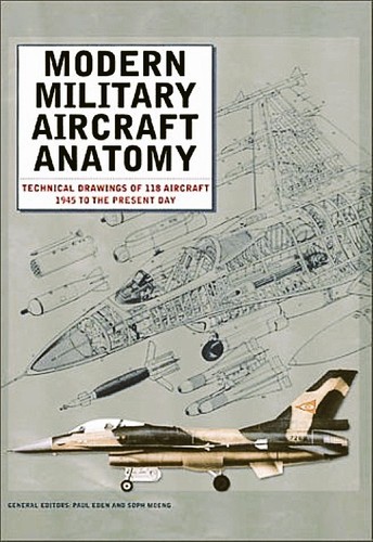 Modern military aircraft - military,