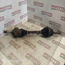 46307687 Semialbero ant