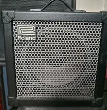 Roland Cube 30 Cosm