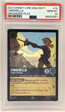 Cinderella Knight in Training