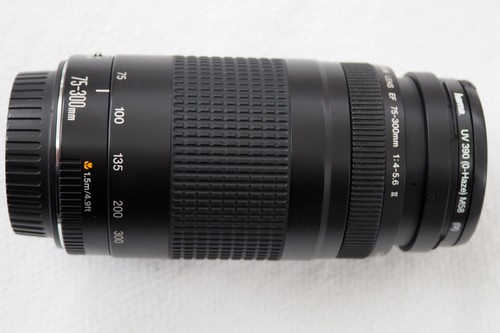 Canon zoom lens 300mm - canon,