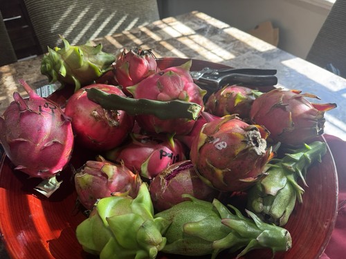 Tagli frutta drago 12 - tagli, 8-12