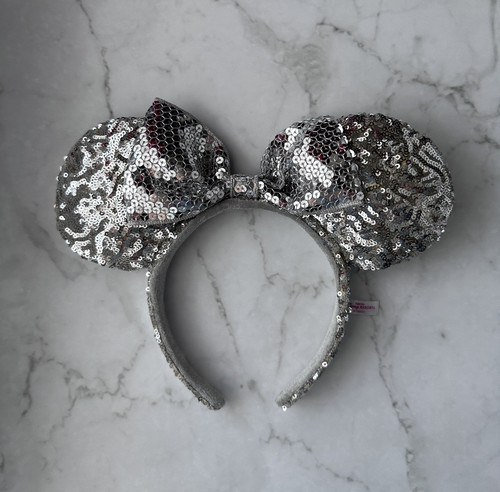 Tokyo disney resort - tokyo,