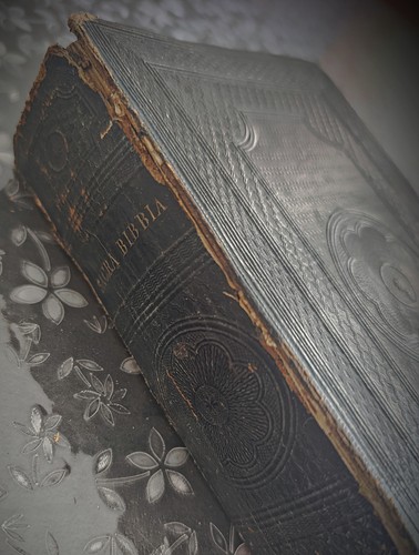 Sacra bibbia trad giovanni - -, trad.