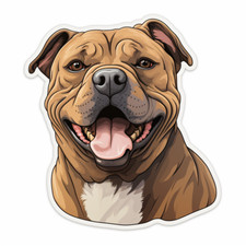 Adesivi auto Dogo Canario