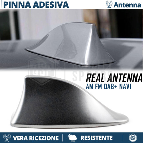 Antenna pinna squalo grigia - antenna,