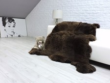 Orso Pelle Tappeto: Gigante
