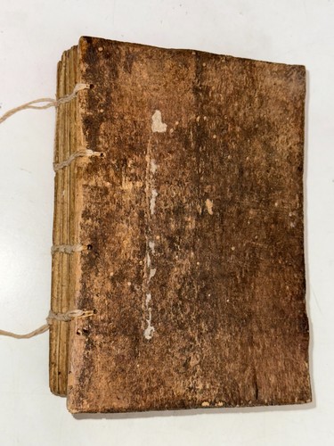 Codice pergamena lingua - in,