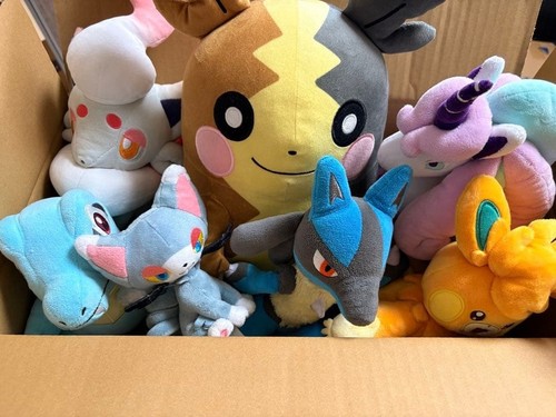 Lotto peluche pokemon - lotto,