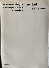 Fenomenologia Dell'esperienza