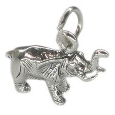 Ciondolo in argento sterling