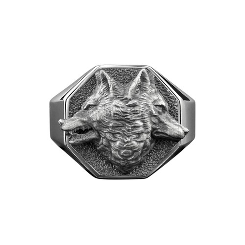 Anello argento lucido - anello,