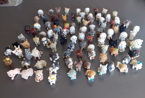 Cuccioli cerca amici - lotto, 98
