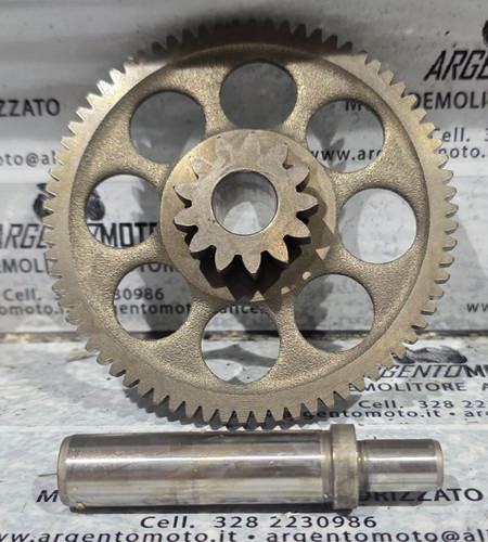 Ingranaggio motorino - ingranaggio,