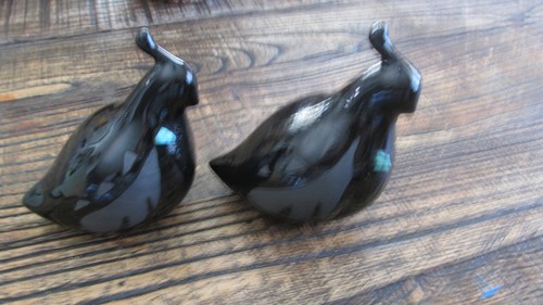 Set due quaglie native in - set,