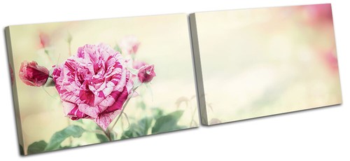 Botanical rose love pink - botanical,