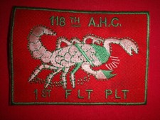 1st Volo Platoon 118th Assalto
