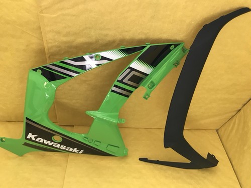 Carena carena kawasaki zx10r
