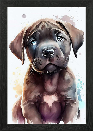 Quadro con cornice cane - quadro,