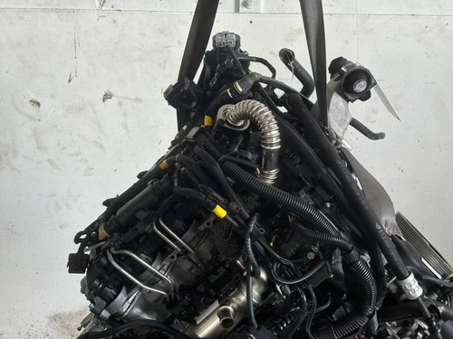 Motore completo per ford - motore,
