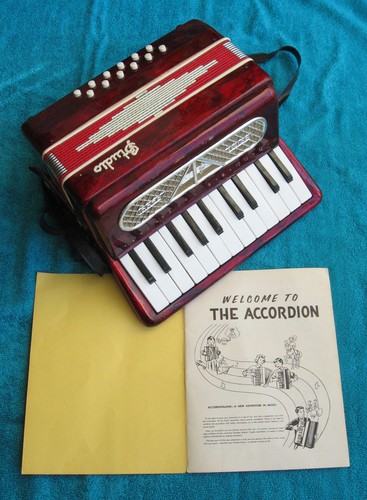 Fisarmonica studio vintage - studio,