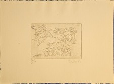 Vincenzo Eulisse, Acquaforte