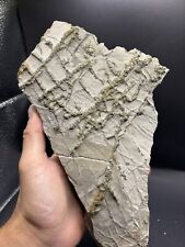 Minerali ** Pirite - Porretta