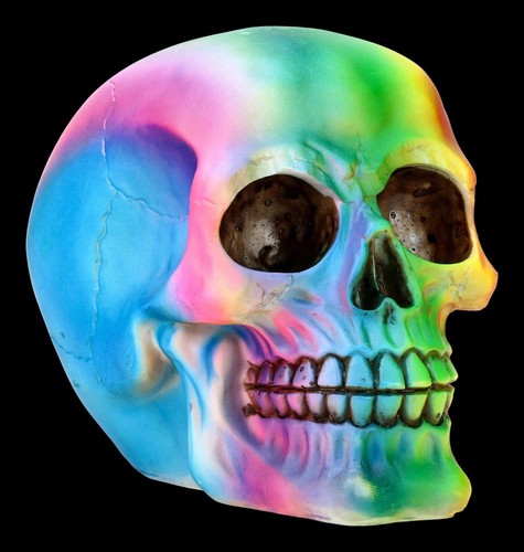 Teschio arcobaleno gothic - arcobaleno,