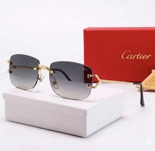 Occhiali sole cartier - cartier, big
