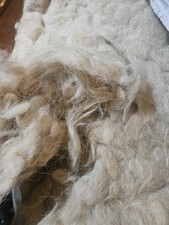 1 Kg. Lana grezza di Pecora Non Trattata Imbottitura Cuscino Materasso Guanciale