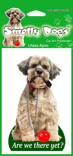 Regalo lhasa apso - apso, lovers