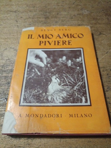 Bengt berg mio amico - -, il