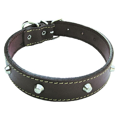 Collare per cane - collare, mm