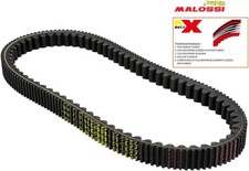 Malossi XK Belt 6115666 -