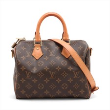 Louis Vuitton Monogram Speedy