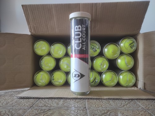 Palle tennis dunlop - palle, club