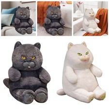Gatto British Shorthair